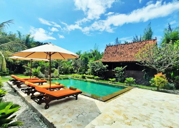 Le Petit Leon "authentic Traditional Wooden House"