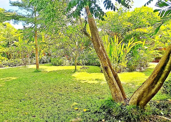 Le Petit Leon "authentic Traditional Wooden House" Séjour chez l'habitant Pabean Buleleng