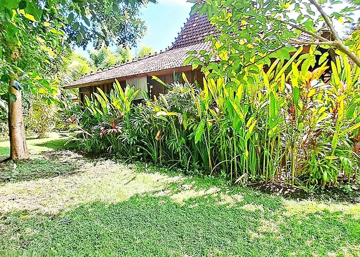 Le Petit Leon "authentic Traditional Wooden House" *