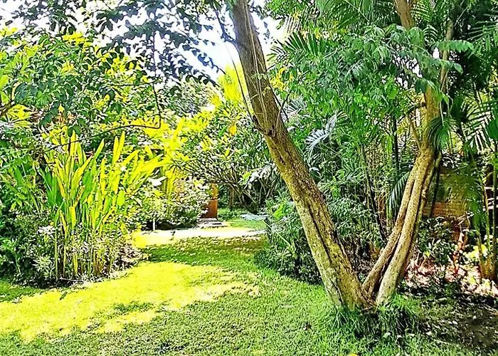 Le Petit Leon "authentic Traditional Wooden House" * Pabean Buleleng